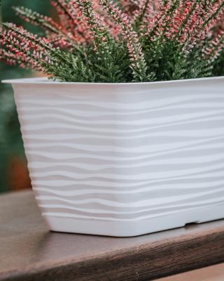 Балконный ящик Sahara с прикр. подд. 58,5*17; h14,5 см; 8,84л белый, 3190-011 в интернет гипермаркете «Планета Лета». Фото