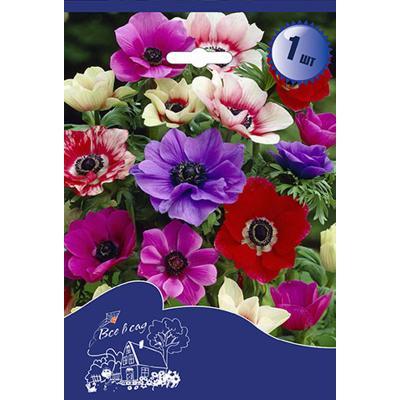 Анемона Де Каен микс (6/7, 8) в интернет гипермаркете «Планета Лета». Фото