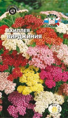 Ахиллея Вирджиния садовая, смесь в интернет гипермаркете «Планета Лета». Фото