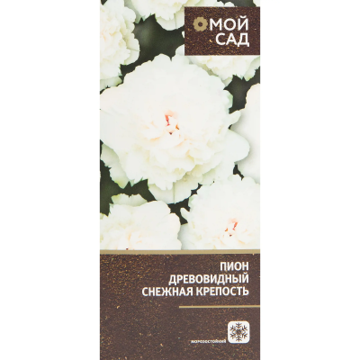 Пион древовидный Снежная Крепость (в тубе) в интернет гипермаркете «Планета Лета». Фото