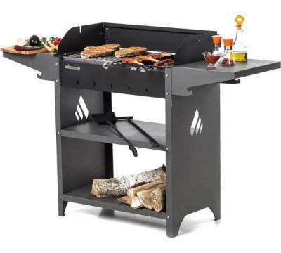 Мангал Family Standart Grill FSG 2000 в интернет гипермаркете «Планета Лета». Фото