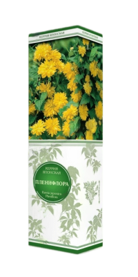 Керрия японская Пленифлора П в интернет гипермаркете «Планета Лета». Фото