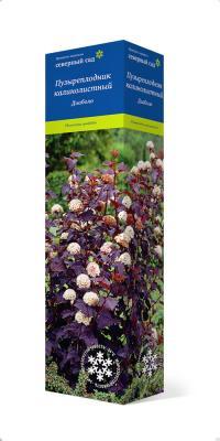 Пузыреплодник калинолистный Диаболо/ЦКор в интернет гипермаркете «Планета Лета». Фото