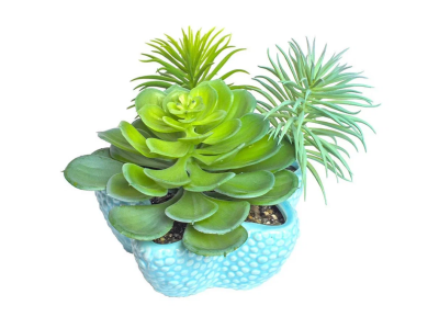 Суккуленты + декор, Гор4, Выс5 в интернет гипермаркете «Планета Лета». Фото