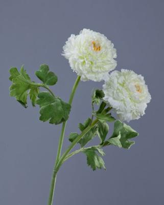 Ранункулус махровый белый ветвь в-62 см 2 цв д-10 см 12/48 30.0313039WH в интернет гипермаркете «Планета Лета». Фото