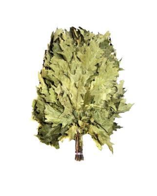 Веник Барский из канадского дуба в упак Бацькина баня 20518 в интернет гипермаркете «Планета Лета». Фото