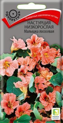 Настурция низкорослая Малышка лососевая (ЦВ) ("1) 1гр. в интернет гипермаркете «Планета Лета». Фото