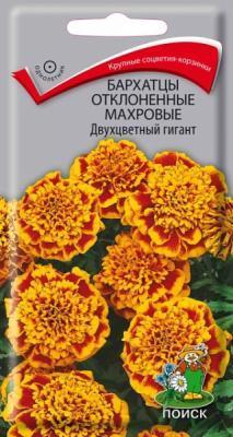 Бархатцы отклоненные махровые Двухцветный гигант в интернет гипермаркете «Планета Лета». Фото