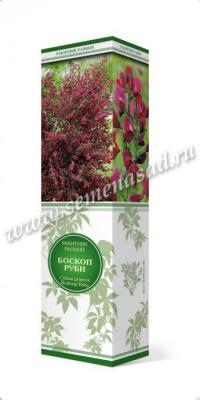 Ракитник ранний Боскоп Руби/ЦКор в интернет гипермаркете «Планета Лета». Фото