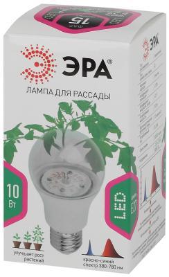 Фито лампа ЭРА FITO-10W-RB-E27-K цоколь E27 Эра в интернет гипермаркете «Планета Лета». Фото Фито лампа ЭРА FITO-10W-RB-E27-K цоколь E27 в интернет гипермаркете «Планета Лета». Фото