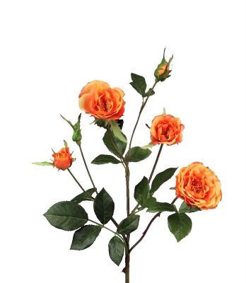 Роза Вайлд ветвь персиково-оранжевая в-41 см 3цв,3бут 24/144 в интернет гипермаркете «Планета Лета». Фото