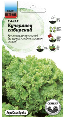 Салат Кучерявец Сибирский 0,3 г ПАТРИОТ