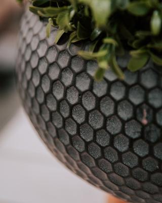 Кашпо IDEALIST Ханни Чаша с подставкой, черное, d27.5 h25, HON-BLK-27 в интернет гипермаркете «Планета Лета». Фото