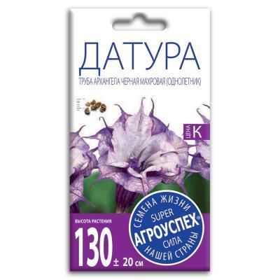 Датура Труба Архангела черная махровая 3 шт в интернет гипермаркете «Планета Лета». Фото