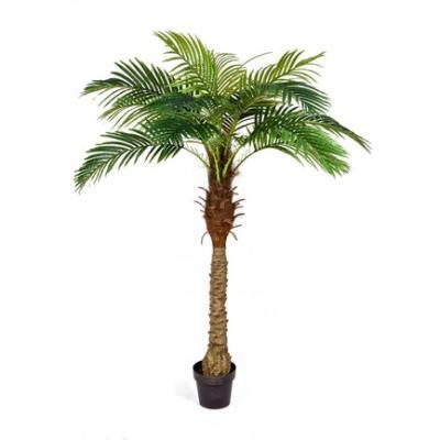 Финиковая пальма Новая в-160 см 14 веток (Sensitive Botanic) 10.071405/5 в интернет гипермаркете «Планета Лета». Фото