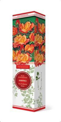 Роза флорибунда Анимо П в интернет гипермаркете «Планета Лета». Фото