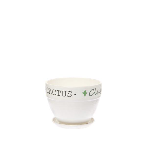 Горшок Кактус клуб №2 (D12)  Квадрат 0,7 л в интернет гипермаркете «Планета Лета». Фото