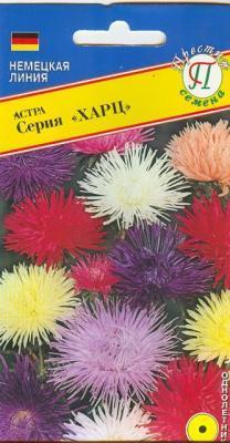 Астра Харц Смесь всех цветов в интернет гипермаркете «Планета Лета». Фото
