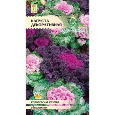 Капуста Декоративная 0,1 гр в интернет гипермаркете «Планета Лета». Фото