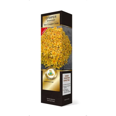 Спирея японская Зен Спирит Голд/ЦКорЛюкс в интернет гипермаркете «Планета Лета». Фото