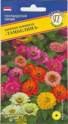 Цинния Арлекин 0,5 гр в интернет гипермаркете «Планета Лета». Фото