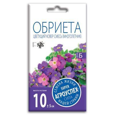 Обриета Цветущий ковер 0,1 гр в интернет гипермаркете «Планета Лета». Фото