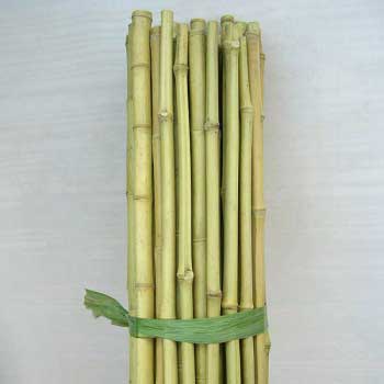 Палка бамбук 180 см 14-16 мм в интернет гипермаркете «Планета Лета». Фото
