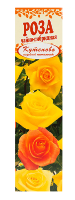 Роза чайно-гибридная Ландора в коробке Кут в интернет гипермаркете «Планета Лета». Фото