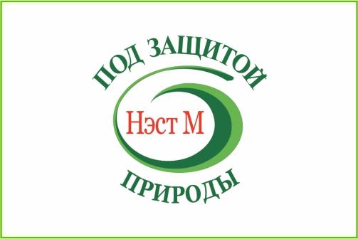 НЭСТ М НЭСТ М