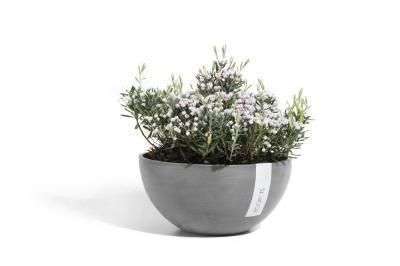 Кашпо Экопотс Brussels D30 H14 см серое 74.001.30G (BR.30.GR) в интернет гипермаркете «Планета Лета». Фото