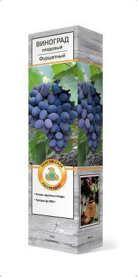 Виноград плодовый Фуршетный П в интернет гипермаркете «Планета Лета». Фото