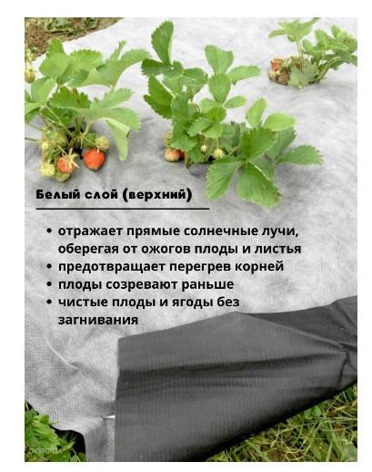 Мульчирующий материал Агротекс  80- 1600 (200м)- чёрный рул АгроТех в интернет гипермаркете «Планета Лета». Фото Мульчирующий материал Агротекс  80- 1600 (200м)- чёрный рул в интернет гипермаркете «Планета Лета». Фото