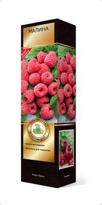 Малина (ремонтантная) Августовское чудо Люкс П в интернет гипермаркете «Планета Лета». Фото
