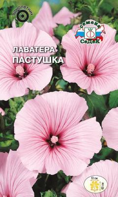 Лаватера Пастушка 0,2 гр в интернет гипермаркете «Планета Лета». Фото