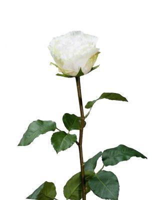 Роза Английская Большая белая в-66см арт.30.0613205WH в интернет гипермаркете «Планета Лета». Фото