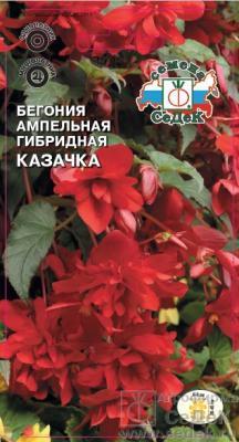 Бегония вечноцв Красная поляна 10 шт в интернет гипермаркете «Планета Лета». Фото