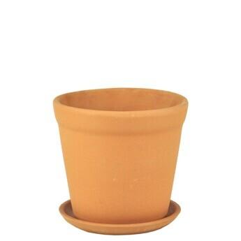 Горшок Юкка 0 терра d6.5см, h5.5см 0,08л ИВ90/0 в интернет гипермаркете «Планета Лета». Фото