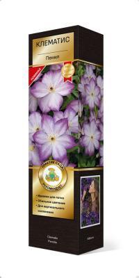 Клематис ботанический Пенил/ЦКорЛюкс в интернет гипермаркете «Планета Лета». Фото