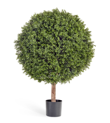 Самшит Шар уличный новый в-40, д-30 см в интернет гипермаркете «Планета Лета». Фото