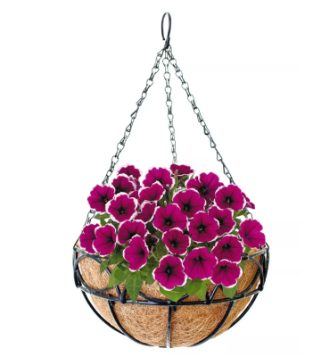 Кашпо Сфера металлическое подвесное с вкладышем из коковиты d25 см в интернет гипермаркете «Планета Лета». Фото