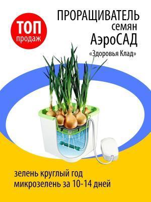 Домашний АэроСАД "Здоровья КЛАД" Здоровья Клад в интернет гипермаркете «Планета Лета». Фото Домашний АэроСАД "Здоровья КЛАД" в интернет гипермаркете «Планета Лета». Фото