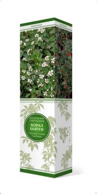 Кизильник гибридный Корал Бьюти/ЦКор П в интернет гипермаркете «Планета Лета». Фото