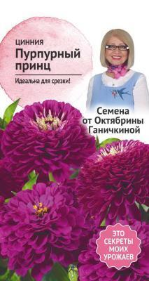 Цинния Пурпурный принц 0,5 гр Ганичкина в интернет гипермаркете «Планета Лета». Фото