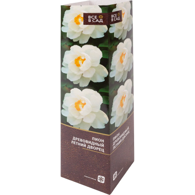 Пион древовидный Летний Дворец (в тубе) в интернет гипермаркете «Планета Лета». Фото