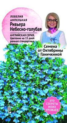 Лобелия Ривьера Небесно-голубая 10шт Ганичкина в интернет гипермаркете «Планета Лета». Фото