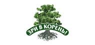 Зри в корень Зри в корень