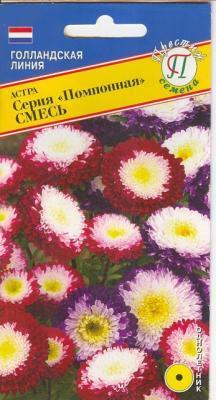 Астра Помпонная Смесь в интернет гипермаркете «Планета Лета». Фото