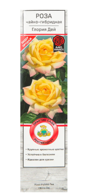 Роза чайно-гибридная Глория Дей в коробке в интернет гипермаркете «Планета Лета». Фото