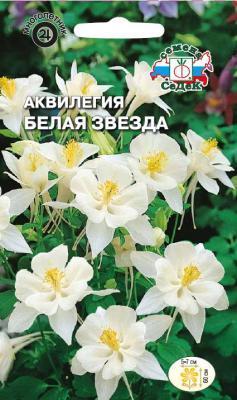 Аквилегия Белая Звезда в интернет гипермаркете «Планета Лета». Фото