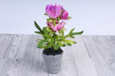 Анемон в кашпо H-20см DN-42211 в интернет гипермаркете «Планета Лета». Фото